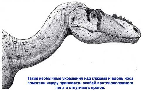 Аліорам