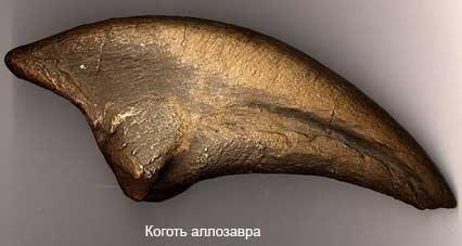 Аллозавр