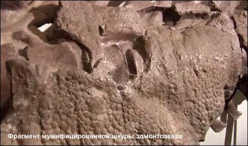 Едмонтозавр