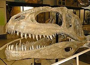 гтгантозавр