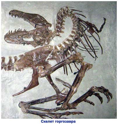 Горгозавр