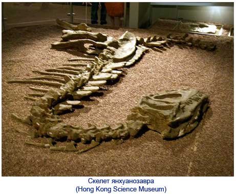 Янхуанозавр