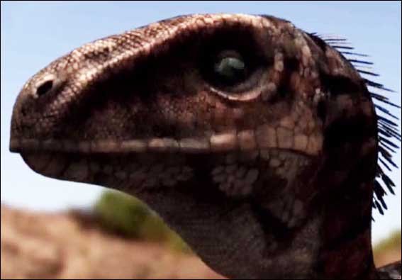 чудовий зір дозволяли ютараптору створити повне уявлення про те, що відбувається довкола. <br />Останки ютараптора виявлені в 1991 році палеонтологами Джеймсом Кіркландом, Робертом Гастоном і Доном Бургом в окрузі Гранд Каунті штату Юта (США). Це відкриття мало велике значення для палеонтології, оскільки до цього вважалося, що найбільшим з подібних. target=