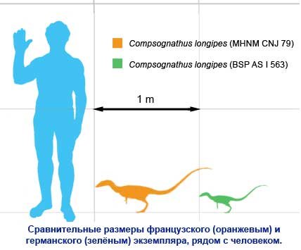 Комп <p><em><strong>Джерела інформації:</strong><br />1. Бейлі Дж., Седдон Т. «Доісторичний світ»<br />2. «Ілюстрована енциклопедія динозаврів»<br />3. сайт Вікіпедія</em></p></div></body></html>