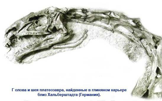 Платеозавр