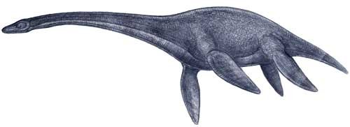 плезіозавр