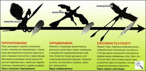 динозаври