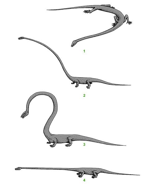 динозавр Таністрофей