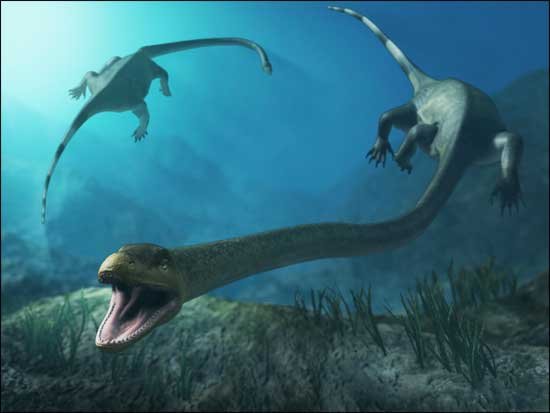 таністрофей