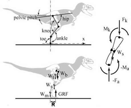 Тіранозавр